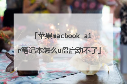 苹果macbook air笔记本怎么u盘启动不了