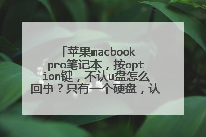 苹果macbook pro笔记本,按option键,不认u盘怎么回事?只有一个硬盘,认不到我的启动