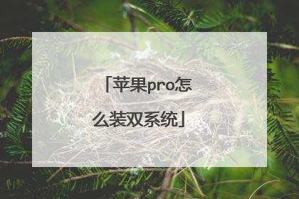 苹果pro怎么装双系统