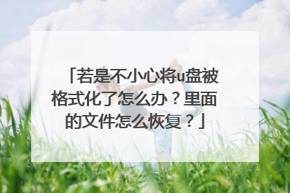 若是不小心将u盘被格式化了怎么办?里面的文件怎么恢复?