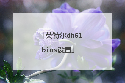 英特尔dh61bios设置