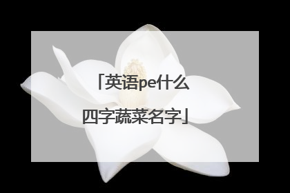 英语pe什么四字蔬菜名字