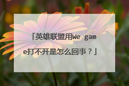 英雄联盟用We game打不开是怎么回事？