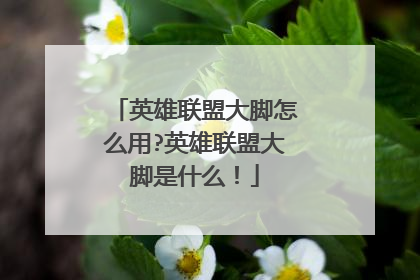英雄联盟大脚怎么用?英雄联盟大脚是什么!