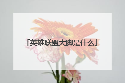 英雄联盟大脚是什么