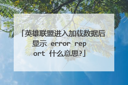英雄联盟进入加载数据后显示 error report 什么意思?
