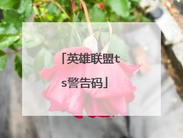 英雄联盟ts警告码