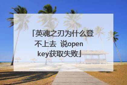 英魂之刃为什么登不上去 说openkey获取失败