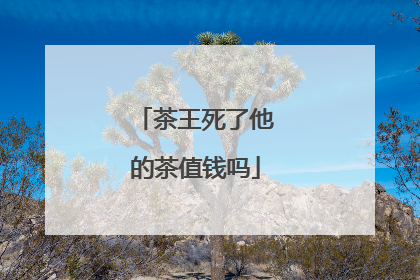 茶王死了他的茶值钱吗