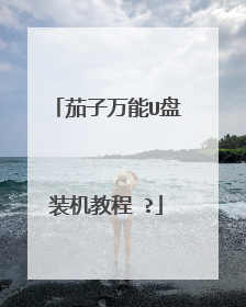 茄子万能U盘装机教程 ?