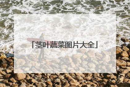 茎叶蔬菜图片大全