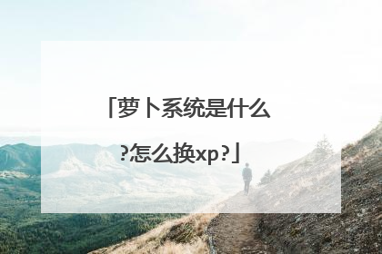 萝卜系统是什么?怎么换xp?