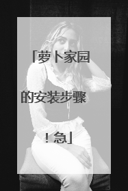 萝卜家园的安装步骤!急