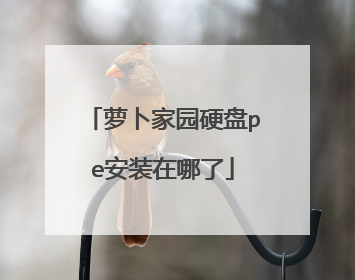 萝卜家园硬盘pe安装在哪了