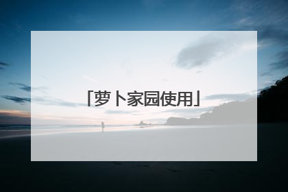 萝卜家园使用