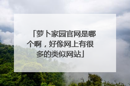 萝卜家园官网是哪个啊,好像网上有很多的类似网站