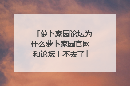 萝卜家园论坛为什么萝卜家园官网和论坛上不去了