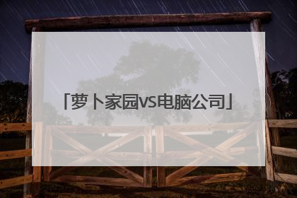 萝卜家园VS电脑公司