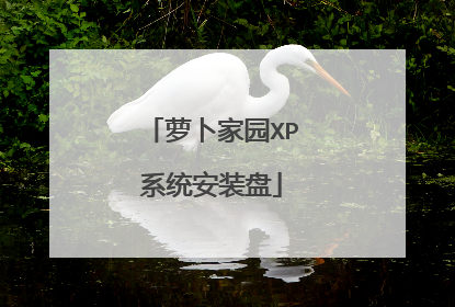 萝卜家园XP系统安装盘