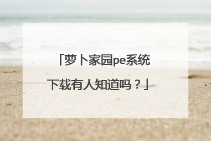 萝卜家园pe系统下载有人知道吗?