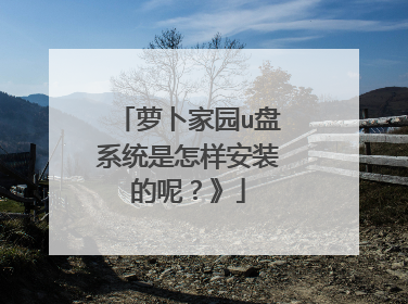 萝卜家园u盘系统是怎样安装的呢?》