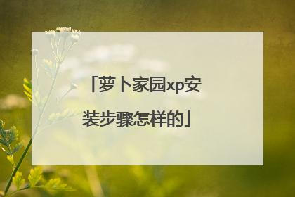 萝卜家园xp安装步骤怎样的