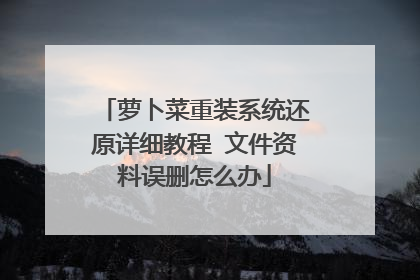 萝卜菜重装系统还原详细教程 文件资料误删怎么办