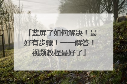 蓝屏了如何解决!最好有步骤!一一解答!视频教程最好了