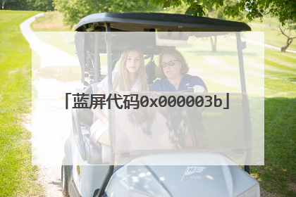 蓝屏代码0x000003b