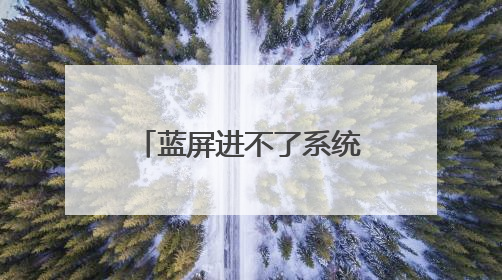 蓝屏进不了系统怎么U盘重装