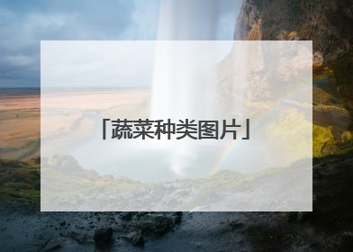 蔬菜种类图片