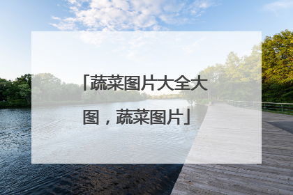 蔬菜图片大全大图,蔬菜图片