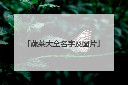 蔬菜大全名字及图片