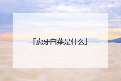 虎牙白菜是什么