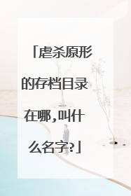 虐杀原形的存档目录在哪,叫什么名字?