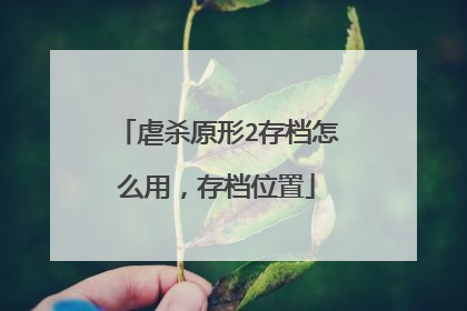 虐杀原形2存档怎么用,存档位置