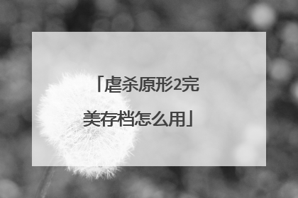 虐杀原形2完美存档怎么用