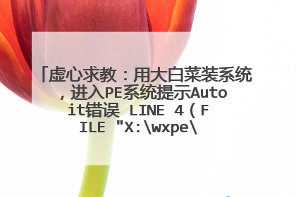 虚心求教:用大白菜装系统,进入PE系统提示Autoit错误 LINE 4(FILE
