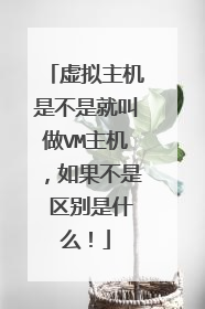 虚拟主机是不是就叫做VM主机,如果不是 区别是什么!