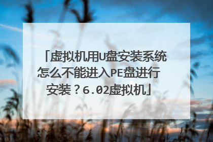 虚拟机用U盘安装系统怎么不能进入PE盘进行安装？6.02虚拟机