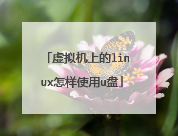 虚拟机上的linux怎样使用u盘