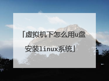 虚拟机下怎么用u盘安装linux系统