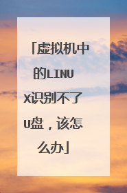 虚拟机中的LINUX识别不了U盘，该怎么办