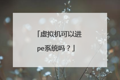 虚拟机可以进pe系统吗?