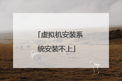 虚拟机安装系统安装不上