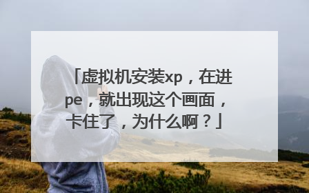 虚拟机安装xp,在进pe,就出现这个画面,卡住了,为什么啊?