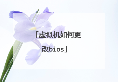 虚拟机如何更改bios