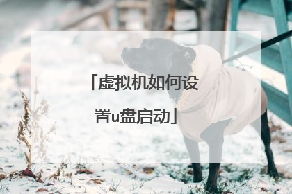 虚拟机如何设置u盘启动