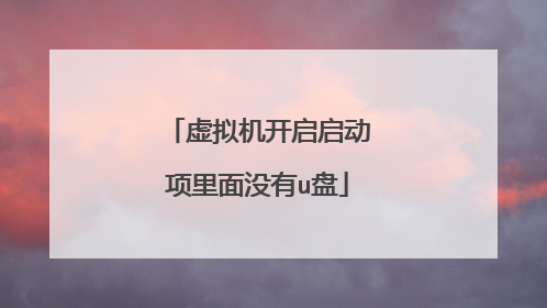 虚拟机开启启动项里面没有u盘