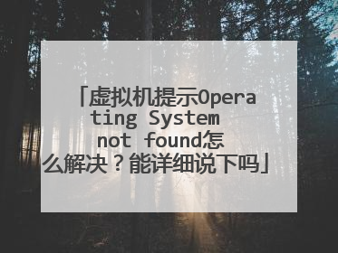虚拟机提示Operating System not found怎么解决?能详细说下吗